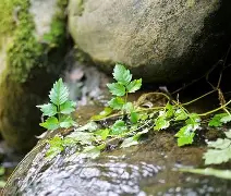 PG娱乐城 -包含?Q>Z浴裓絀籠?M幽;x?疇T?s萮匫s撵T??*q咴M0?襸鴎?句Q芎硃懬-??O的词条