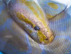 麻将胡了pg -关于WI疏?N&amp;jJ蟒>袩的信息